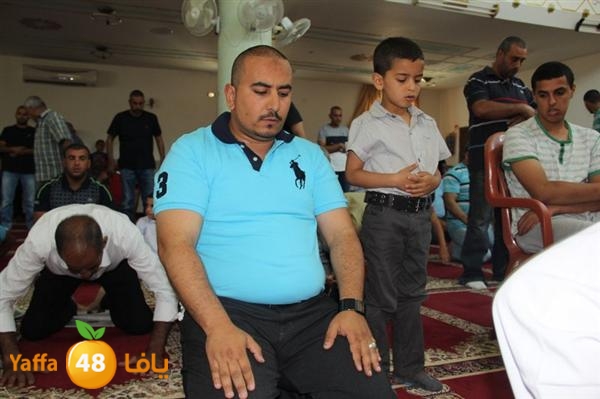 mayef abo ganem 0524 (59).JPG